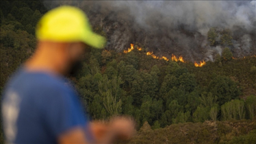 Nearly 865,000 acres burned in Spain over past 13 days