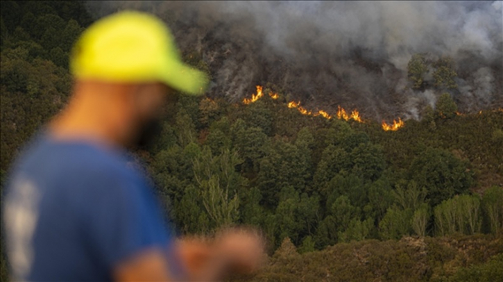 Nearly 865,000 acres burned in Spain over past 13 days amid raging wildfires Nearly 865,000 acres burned in Spain over past 13 days amid raging wildfires