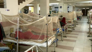 Dengue claims 5 more lives, 387 hospitalized in one day