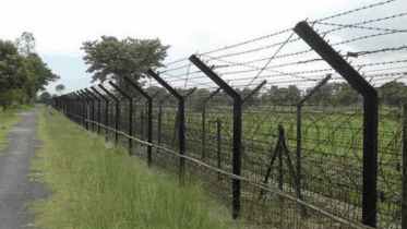 India has installed barbed wire along almost 80 percent of its BD