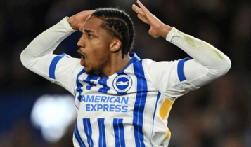 Chelsea sign Brazilian Pedro from Brighton