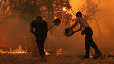 Wildfires Rage Across Greece Amidst Record-Breaking Heatwave