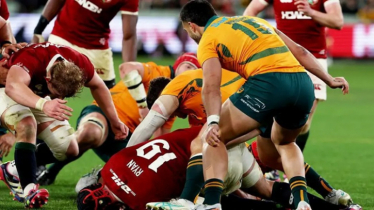 World Rugby boss rejects Schmidt’s clearout claim