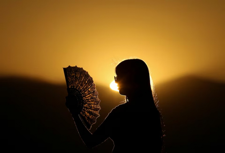 European heatwave caused 2,300 deaths, scientists estimate European heatwave caused 2,300 deaths, scientists estimate