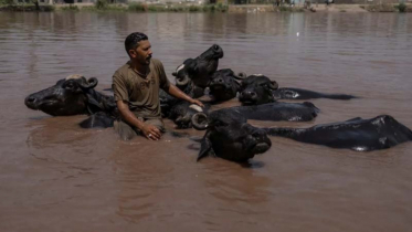 South Asia at risk of rising heat and floods, World Bank warns