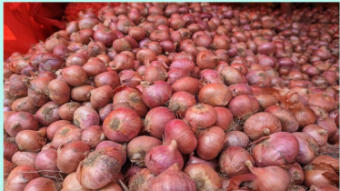The onion market is not decreasing, what is the solution?