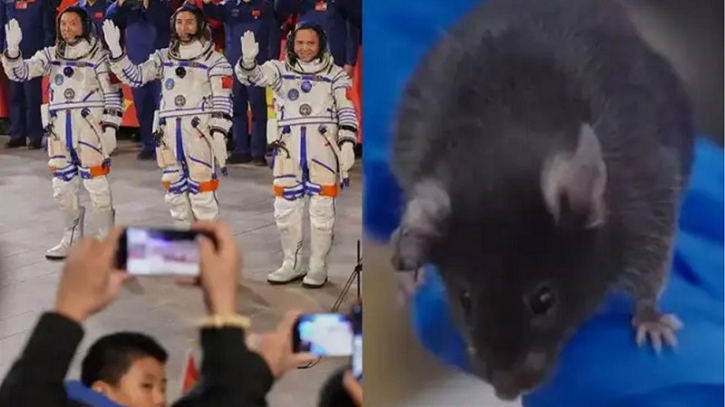 Why did China send rats into space?