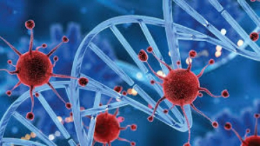 Blood test reveals surprising results in detecting 50 types Blood test reveals surprising results in detecting 50 types