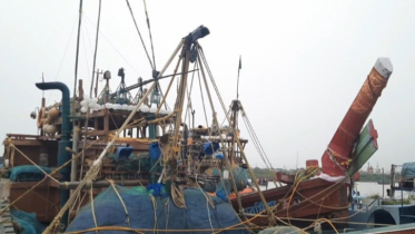 Navy arrests 14 Indian fishermen along
