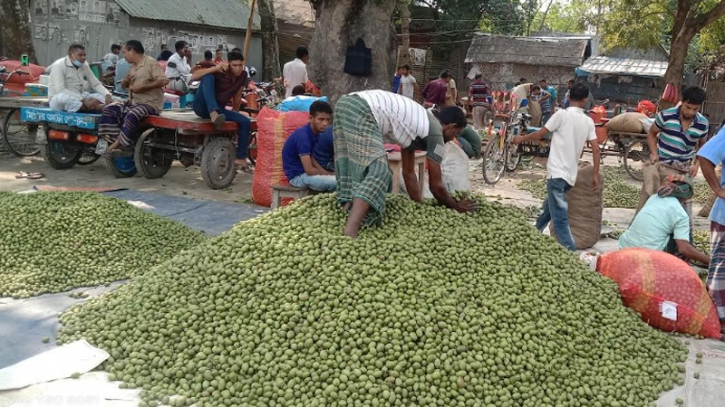 Debiganj Olive Market is bustling throughout the season, daily sales of 25 lakh taka