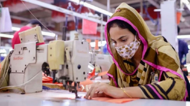 Garment exports down 12 percent