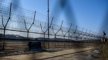 Secret network on the border between the two Koreas