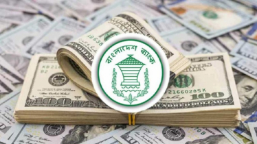 Expatriate income increased by 24 percent