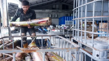 Taiwanese entrepreneur turns banana tree into fabric
