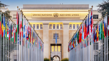 What the UN’s 72-page investigation report on Gaza says