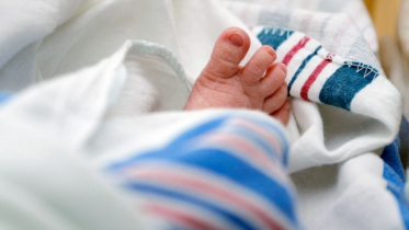 Birth rate in the United States at its lowest point