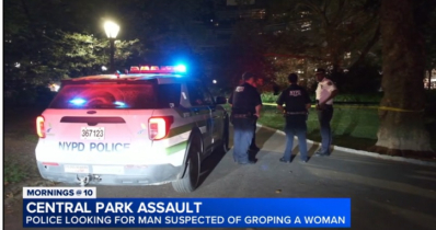 Suspect sought in overnight Central Park groping attack