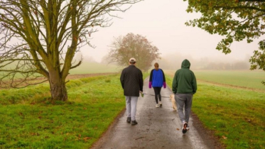 Will just 75 minutes of brisk walking a week help you lose belly