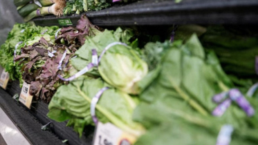 First death in the United States from ‘cyclospora’ infection