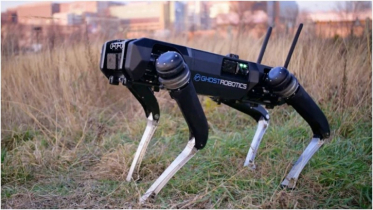 Police deploy robot dogs for security at World Cup