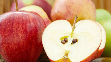 Is death hidden in apple seeds? What science says