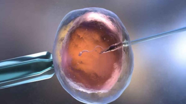 AI technology offers new hope for eradicating male infertility