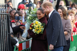 Prince Harry, Meghan Markle hold 1st joint engagement since