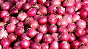 Onion Price Hiked via Syndicate in the Philippines; 3.43 Billion