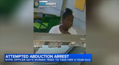 Woman accused of trying to take 4-year-old boy outside Brooklyn