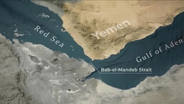How many ships have managed to pass through the Bab al-Mandeb