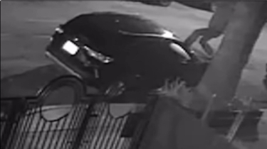 Sheepshead Bay residents seek vandalism suspect